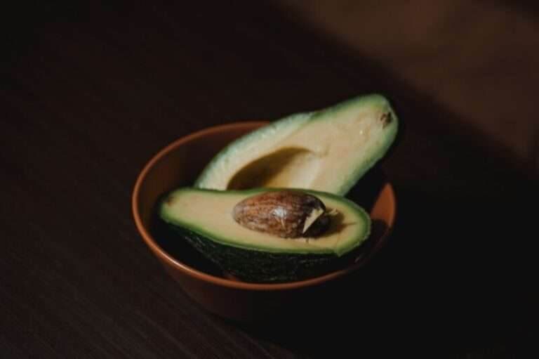 health benefits of avocado e1676171836436