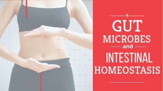 Gut Microbes and Intestinal Homeostasis