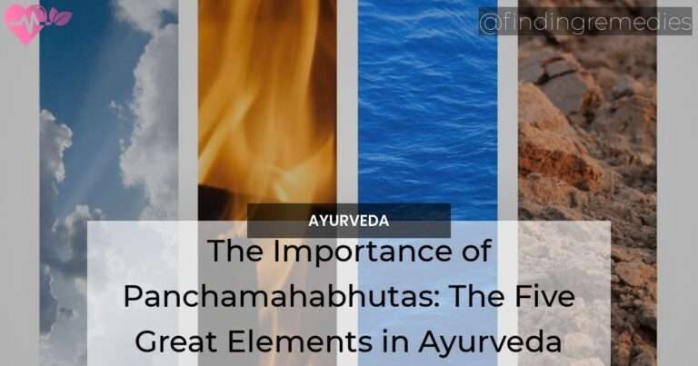 The Importance of Panchamahabhutas The Five Great Elements in Ayurveda