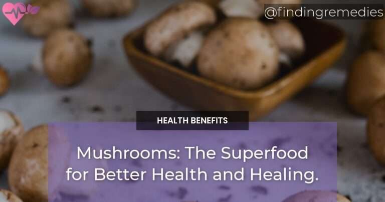Mushrooms The Superfood for Better Health and Healing