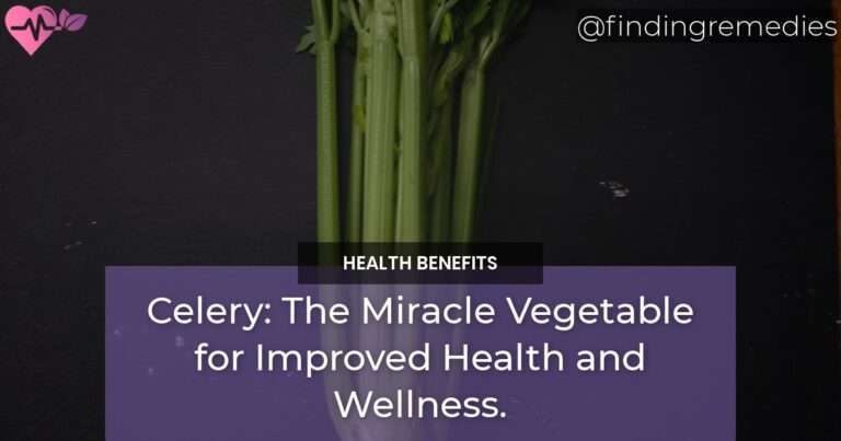 Celery The Miracle Vegetable for Improved Health and Wellness