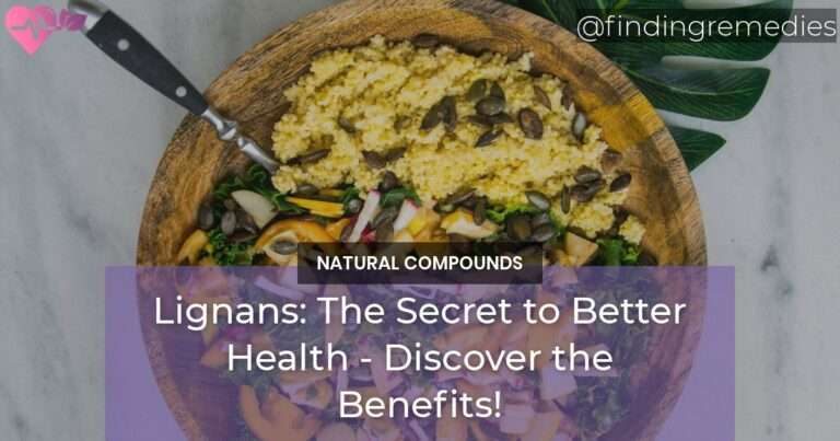 Lignans The Secret to Better Health - Discover the Benefits