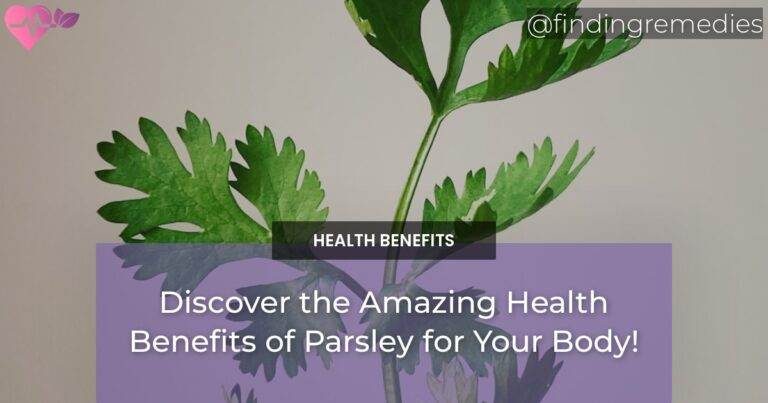 Discover the Amazing Health Benefits of Parsley for Your Body!