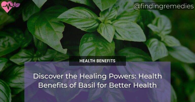 Discover the Healing Powers: Health Benefits of Basil for Better Health