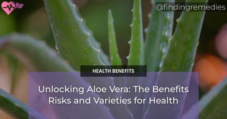 Unlocking Aloe Vera: The Benefits Risks and Varieties for Health