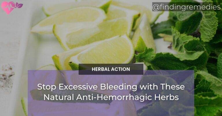 Stop Excessive Bleeding with These Natural Anti-Hemorrhagic Herbs