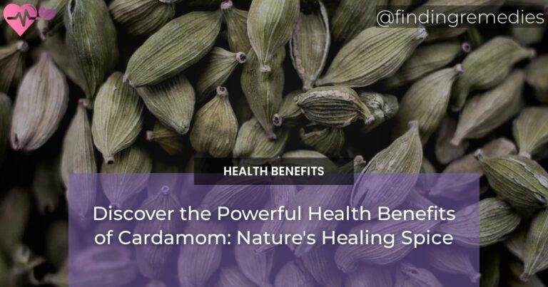Discover the Powerful Health Benefits of Cardamom: Nature's Healing Spice