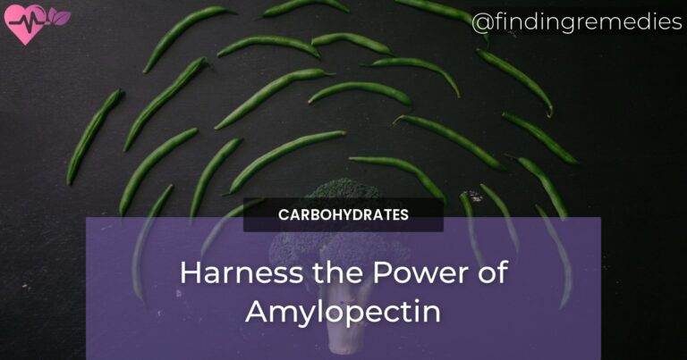 Harness the Power of Amylopectin