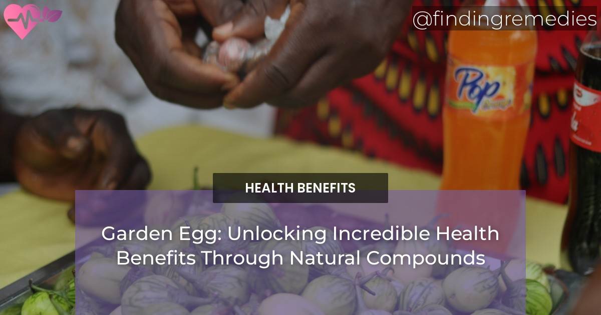 Fresh Look at Garden Egg Unlocking Incredible Health Benefits Through Natural Compounds