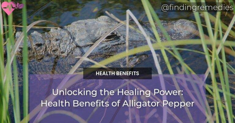 Unlocking the Healing Power: Health Benefits of Alligator Pepper