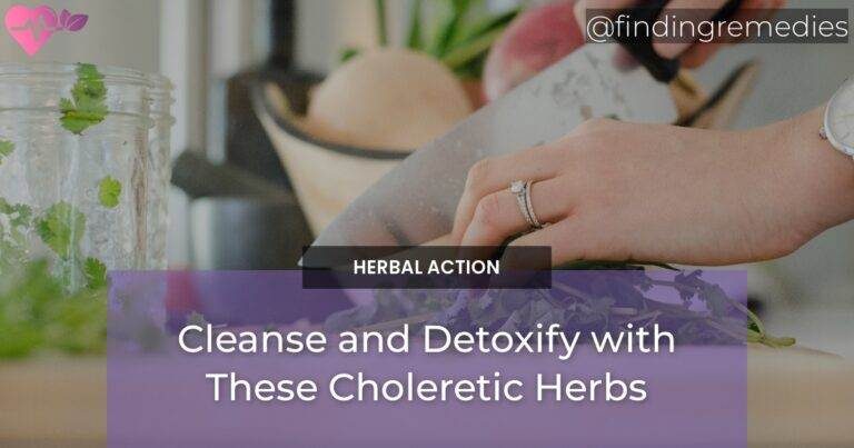 Cleanse and Detoxify with These Choleretic Herbs