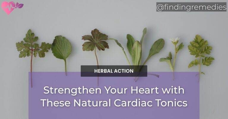 Strengthen Your Heart with These Natural Cardiac Tonics