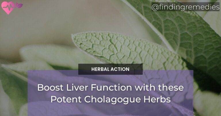 Boost Liver Function with these Potent Cholagogue Herbs
