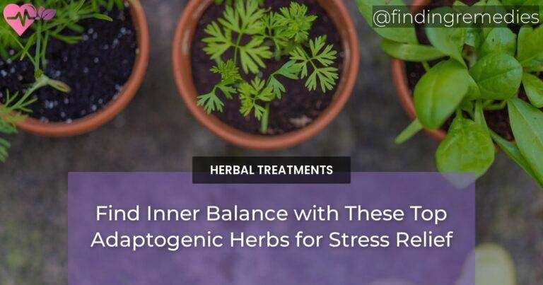 Find Inner Balance with These Top Adaptogenic Herbs for Stress Relief