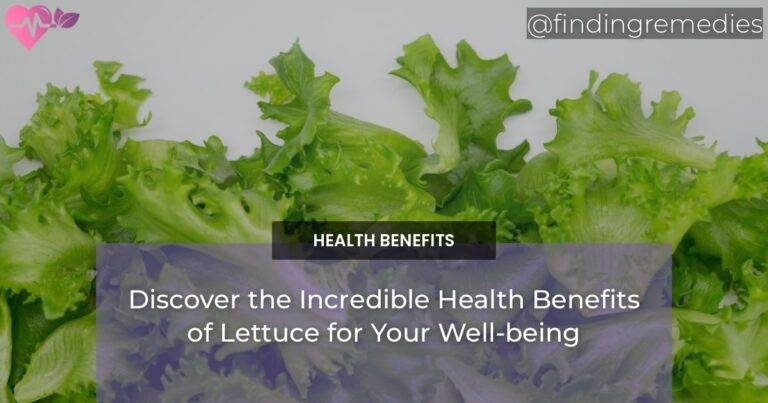 Discover the Incredible Health Benefits of Lettuce for Your Well-being