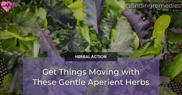 Get Things Moving with These Gentle Aperient Herbs
