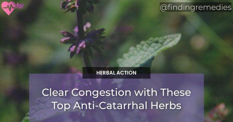 Clear Congestion with These Top Anti-Catarrhal Herbs