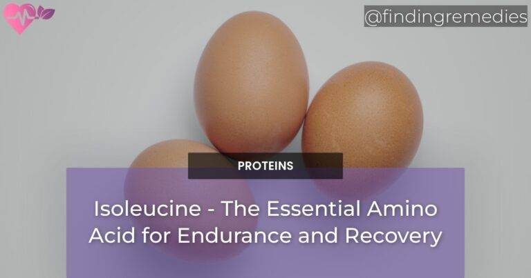 Isoleucine - The Essential Amino Acid for Endurance and Recovery