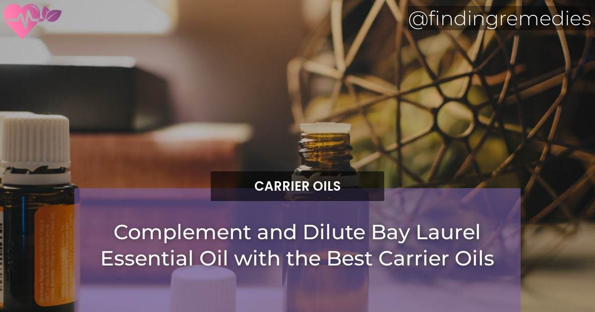 Complement and Dilute Bay Laurel Essential Oil with the Best Carrier Oils