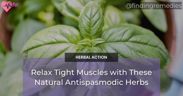 Relax Tight Muscles with These Natural Antispasmodic Herbs