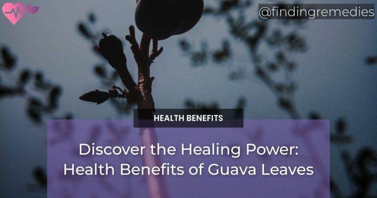 Discover the Healing Power: Health Benefits of Guava Leaves