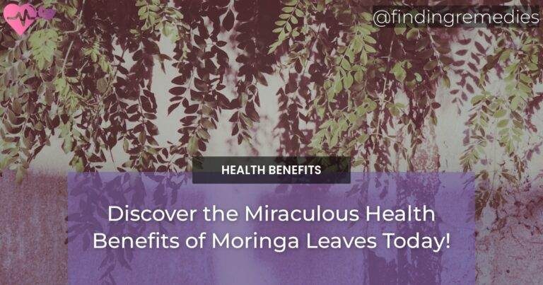 Discover the Miraculous Health Benefits of Moringa Leaves Today!