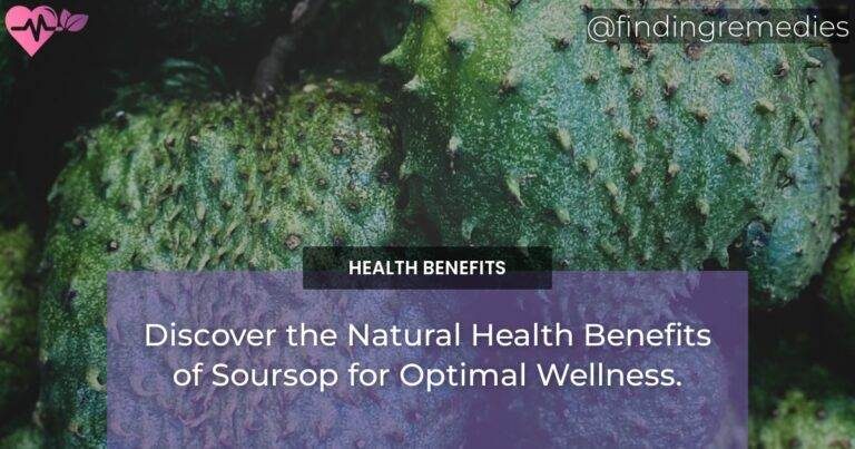 Discover the Natural Health Benefits of Soursop for Optimal Wellness.