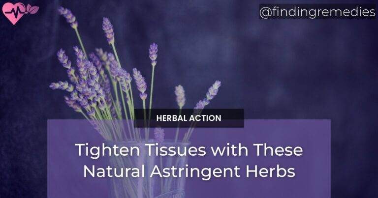 Tighten Tissues with These Natural Astringent Herbs
