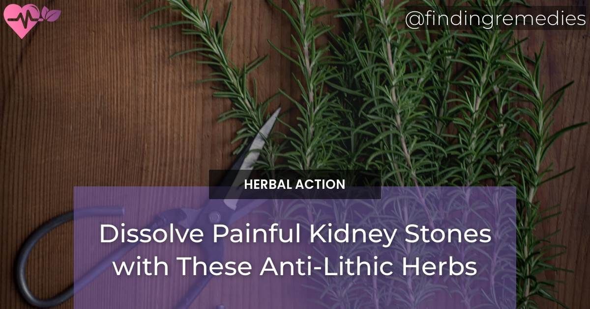 Dissolve Painful Kidney Stones with These Anti-Lithic Herbs