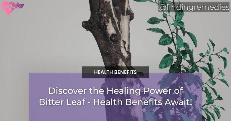 Discover the Healing Power of Bitter Leaf - Health Benefits Await!