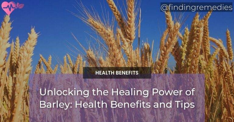 Unlocking the Healing Power of Barley: Health Benefits and Tips