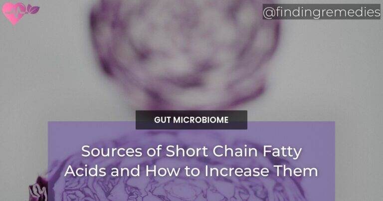 Sources of Short Chain Fatty Acids and How to Increase Them