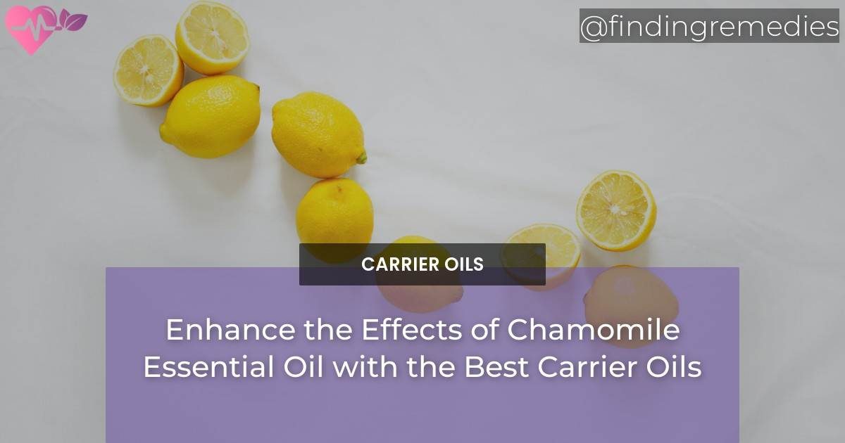 Enhance the Effects of Chamomile Essential Oil with the Best Carrier Oils
