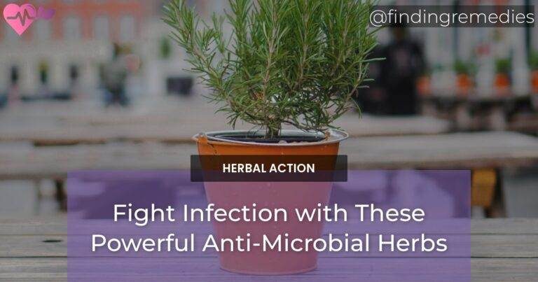 Fight Infection with These Powerful Anti-Microbial Herbs