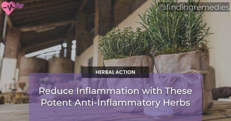 Reduce Inflammation with These Potent Anti-Inflammatory Herbs