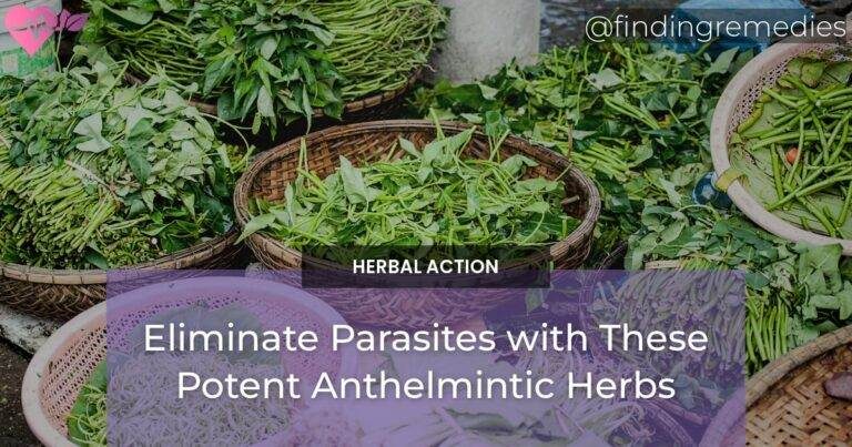 Eliminate Parasites with These Potent Anthelmintic Herbs