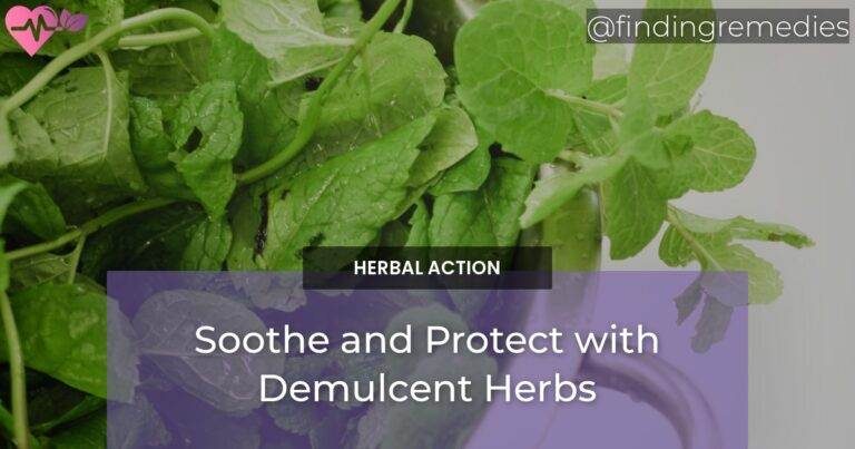 Soothe and Protect with Demulcent Herbs