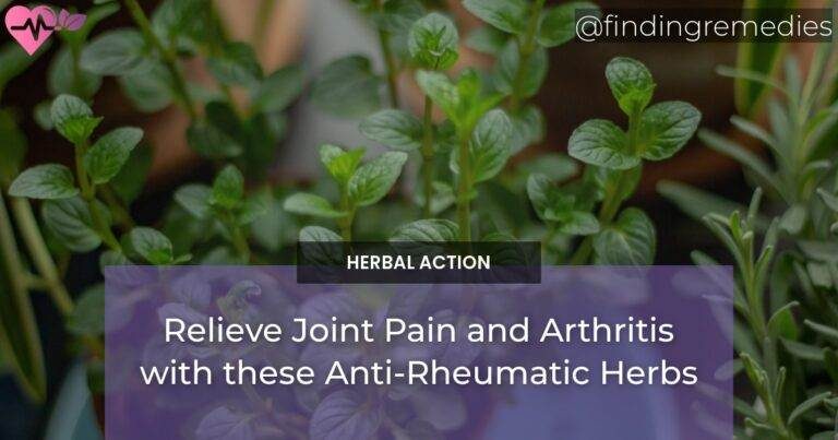 Relieve Joint Pain and Arthritis with these Anti-Rheumatic Herbs