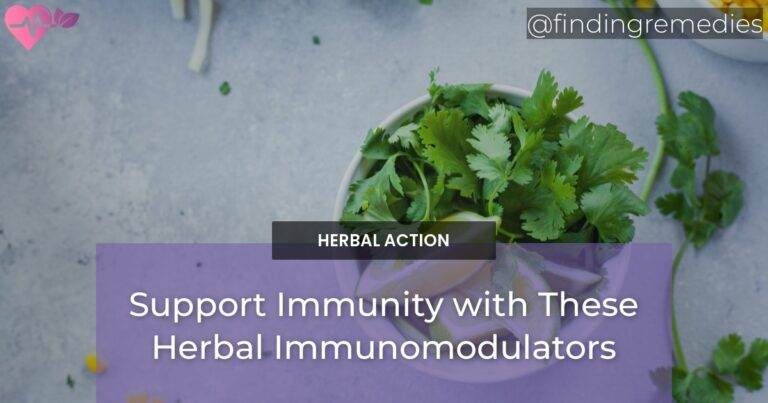 Support Immunity with These Herbal Immunomodulators
