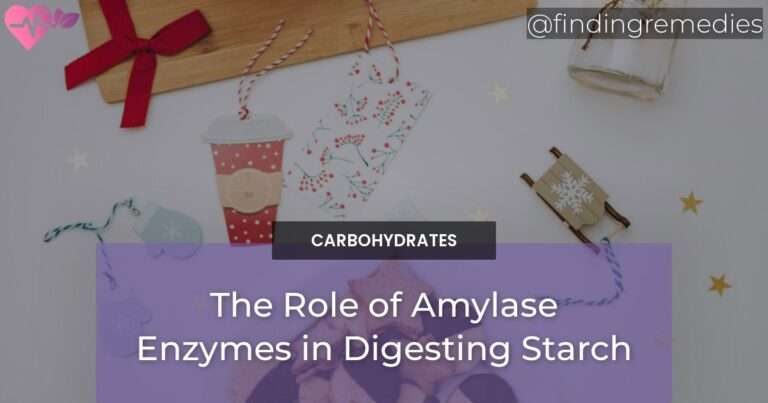 The Role of Amylase Enzymes in Digesting Starch