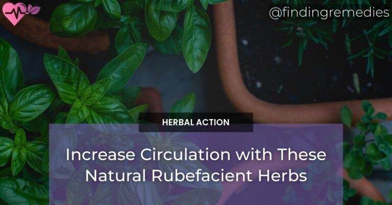 Increase Circulation with These Natural Rubefacient Herbs