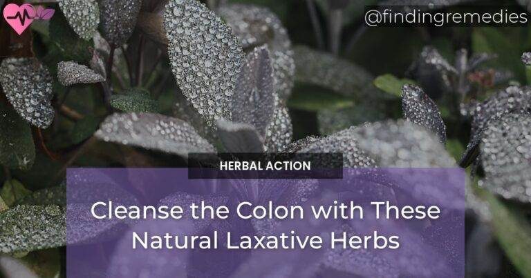 Cleanse the Colon with These Natural Laxative Herbs
