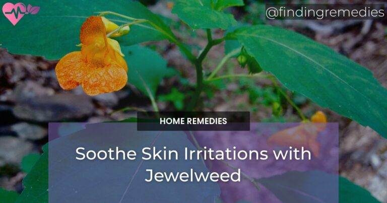 Soothe Skin Irritations with Jewelweed