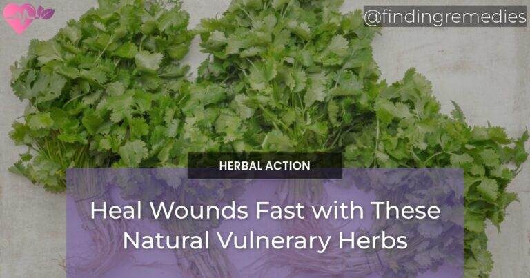 Heal Wounds Fast with These Natural Vulnerary Herbs