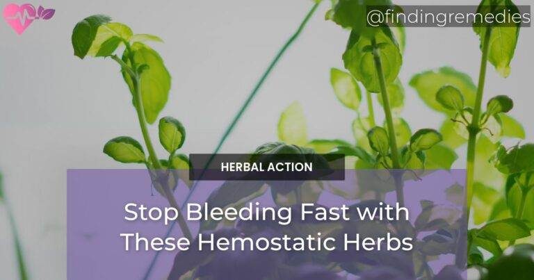 Stop Bleeding Fast with These Hemostatic Herbs