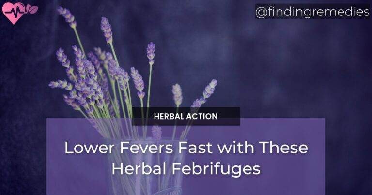 Lower Fevers Fast with These Herbal Febrifuges