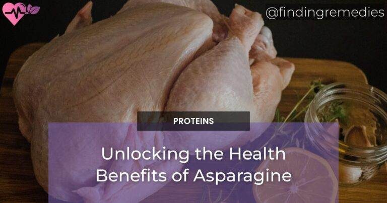 Unlocking the Health Benefits of Asparagine