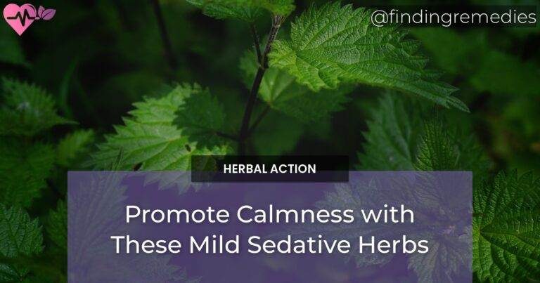 Promote Calmness with These Mild Sedative Herbs