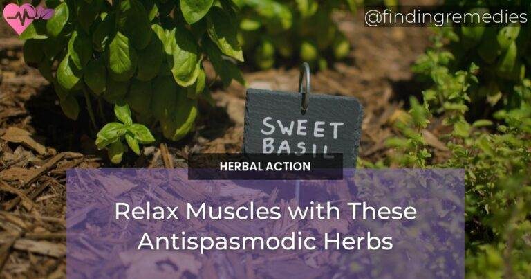 Relax Muscles with These Antispasmodic Herbs
