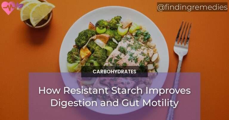 How Resistant Starch Improves Digestion and Gut Motility